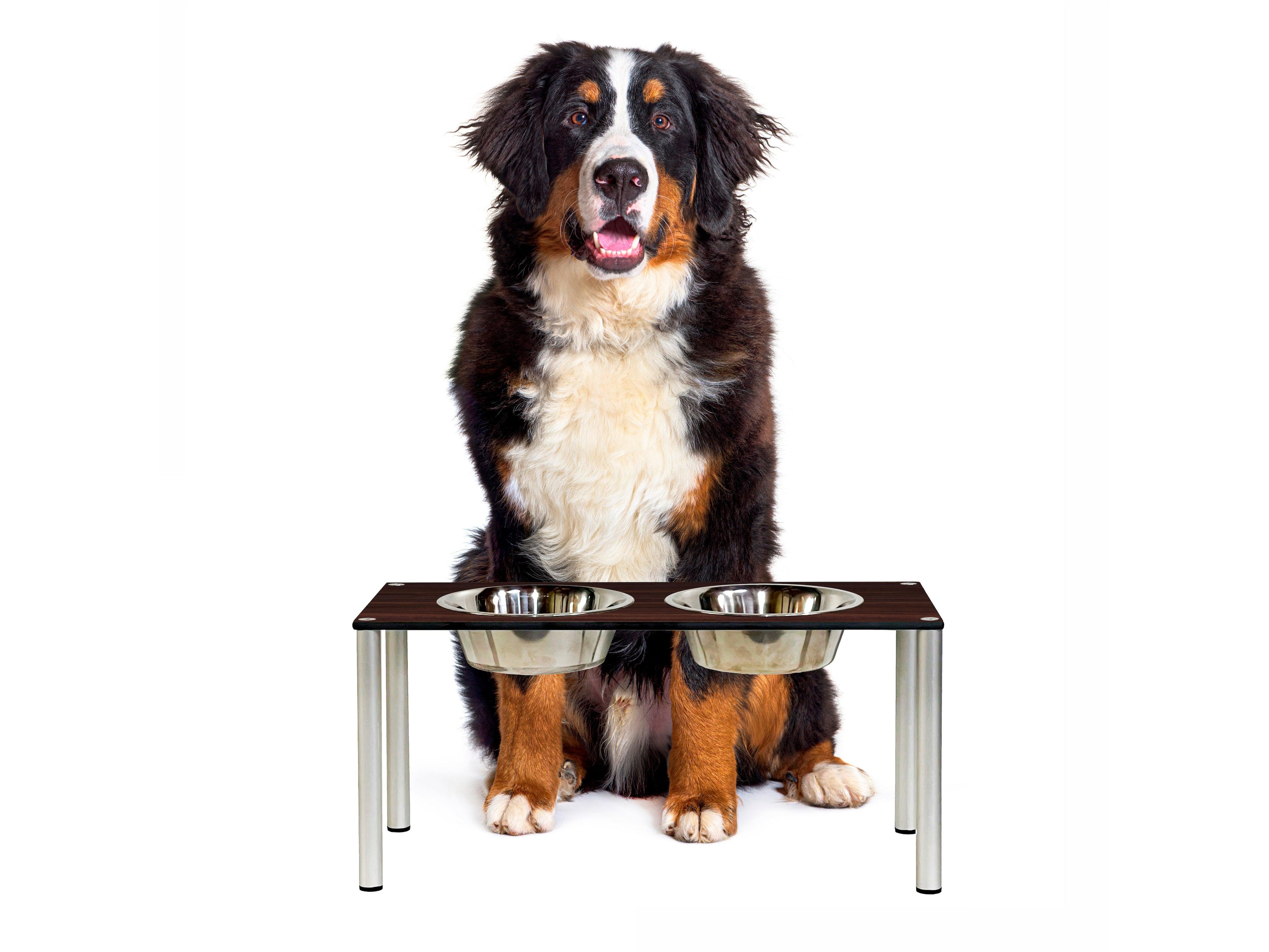 FOREMAN® Elevated Dog Bowl Set | Outdoor Rated - FOREMAN® Products