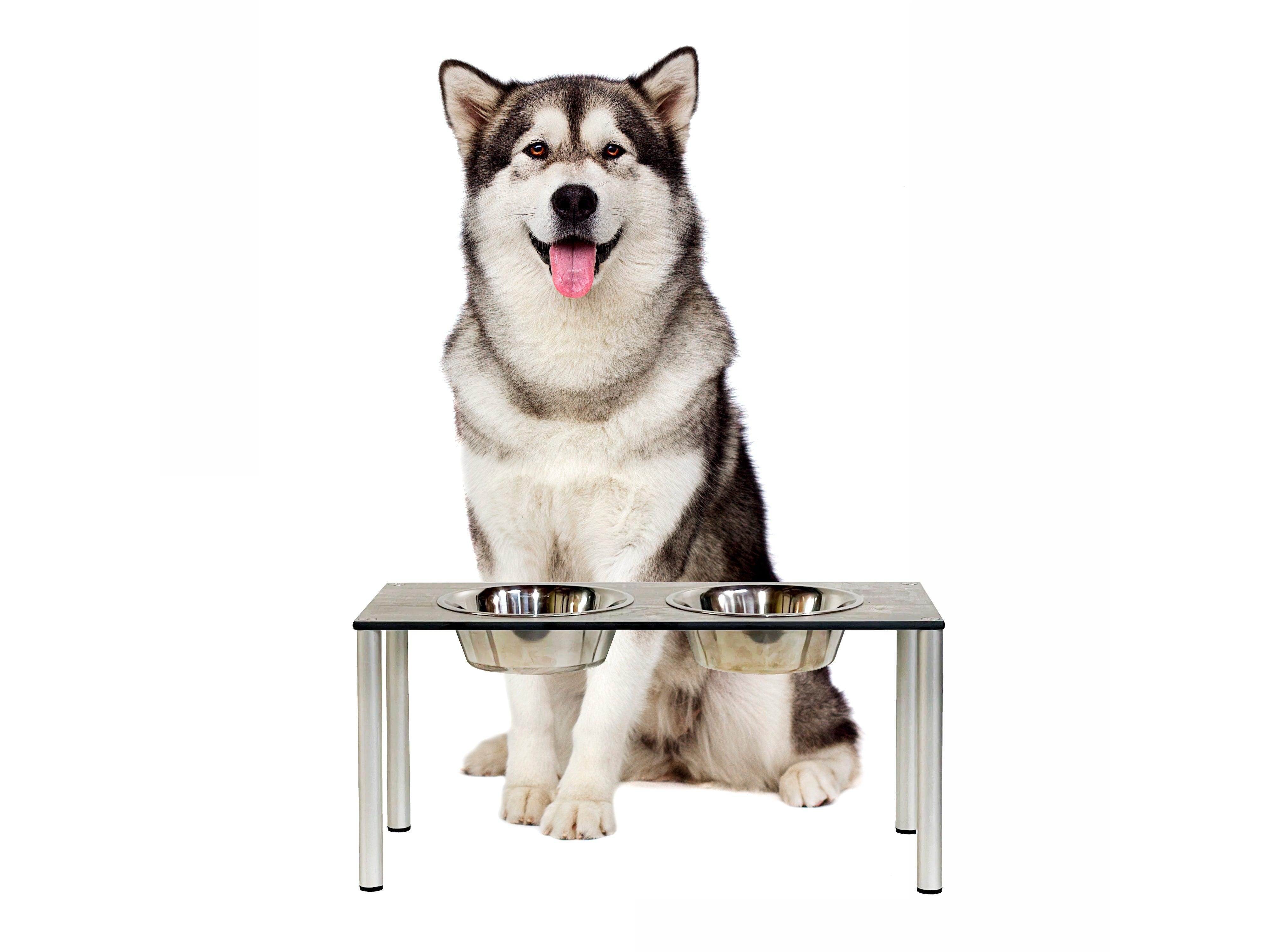 FOREMAN® Elevated Dog Bowl Set | Outdoor Rated - FOREMAN® Products