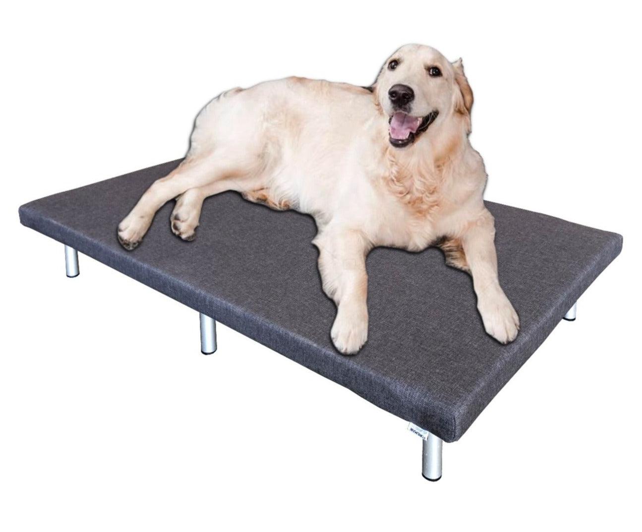FOREMAN® Platform Dog Bed w/ Washable Mattress Cover - FOREMAN® Products