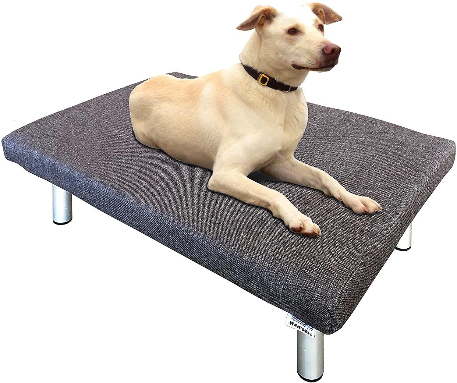 FOREMAN® Platform Dog Bed w/ Washable Mattress Cover - FOREMAN® Products