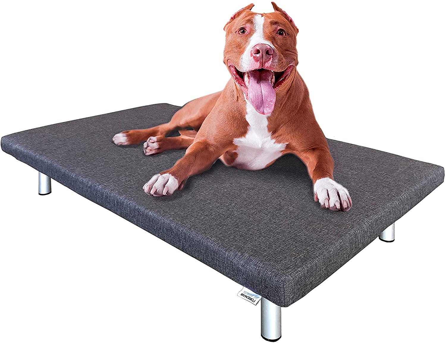 FOREMAN® Platform Dog Bed w/ Washable Mattress Cover - FOREMAN® Products