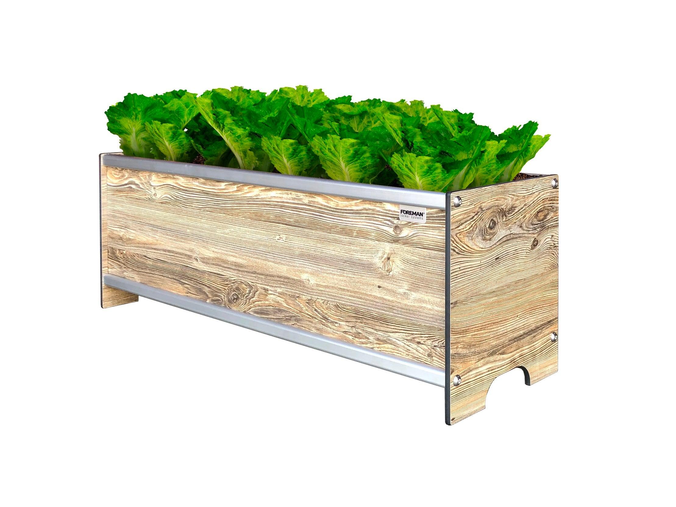 FOREMAN® Raised Garden Bed - Elevated w/ Drainage - FOREMAN® Products