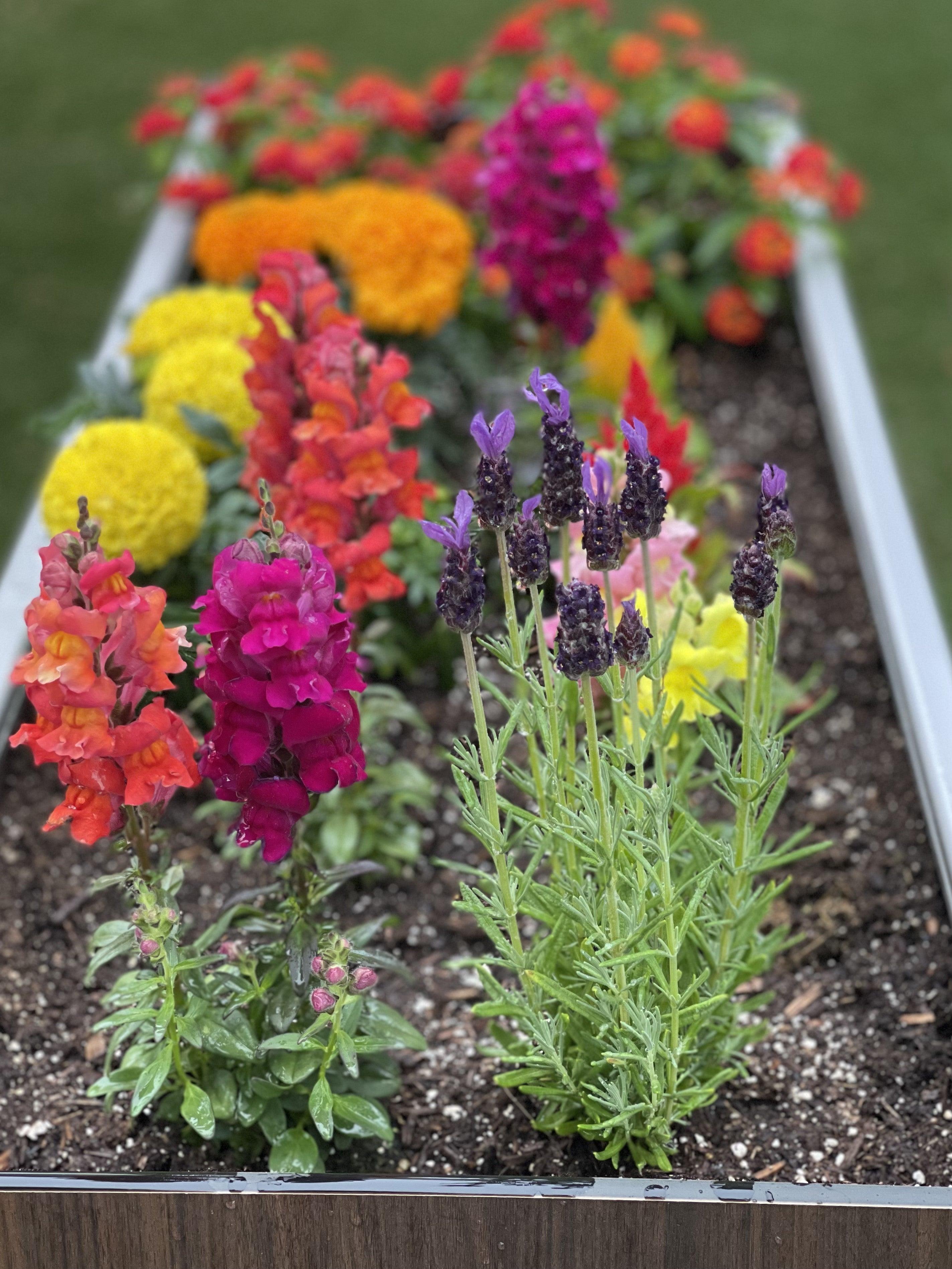 FOREMAN® Raised Garden Cart with Storage - FOREMAN® Products