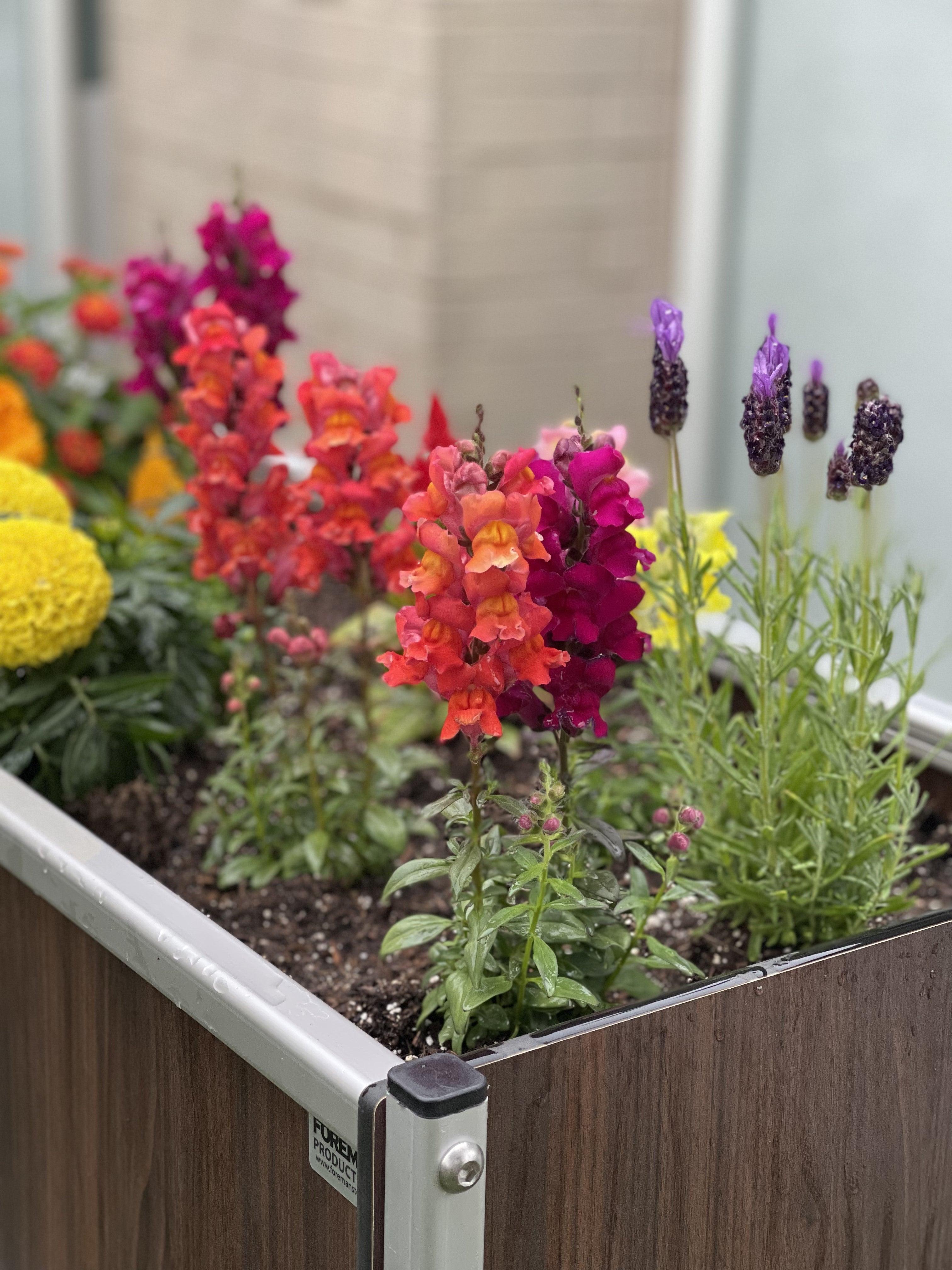 FOREMAN® Raised Garden Cart with Storage - FOREMAN® Products