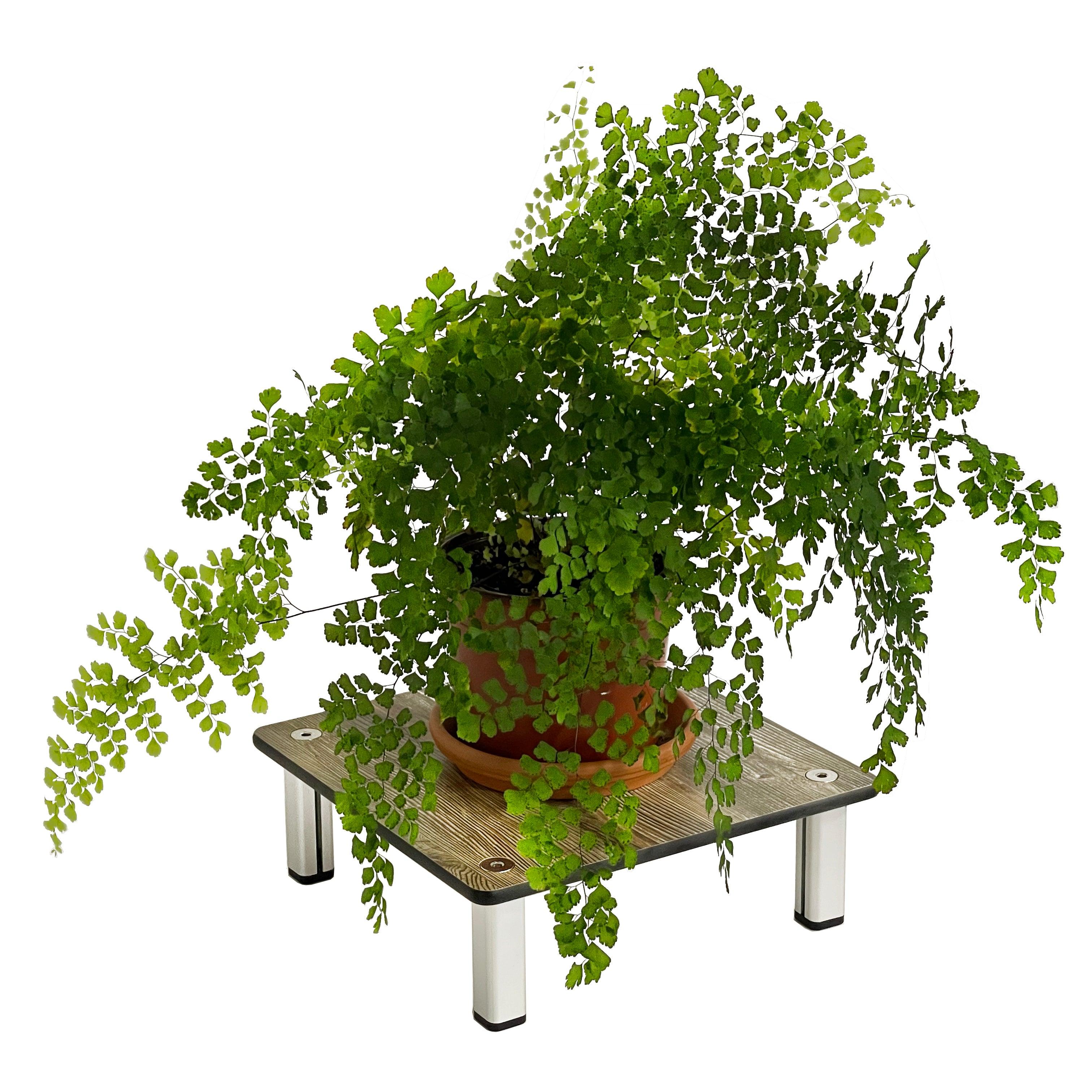 FOREMAN® Wood Grain HPL Plant Stand - FOREMAN® Products