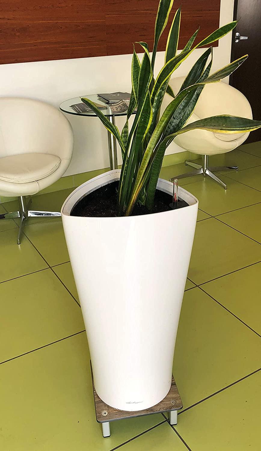 FOREMAN® Wood Grain HPL Plant Stand - FOREMAN® Products