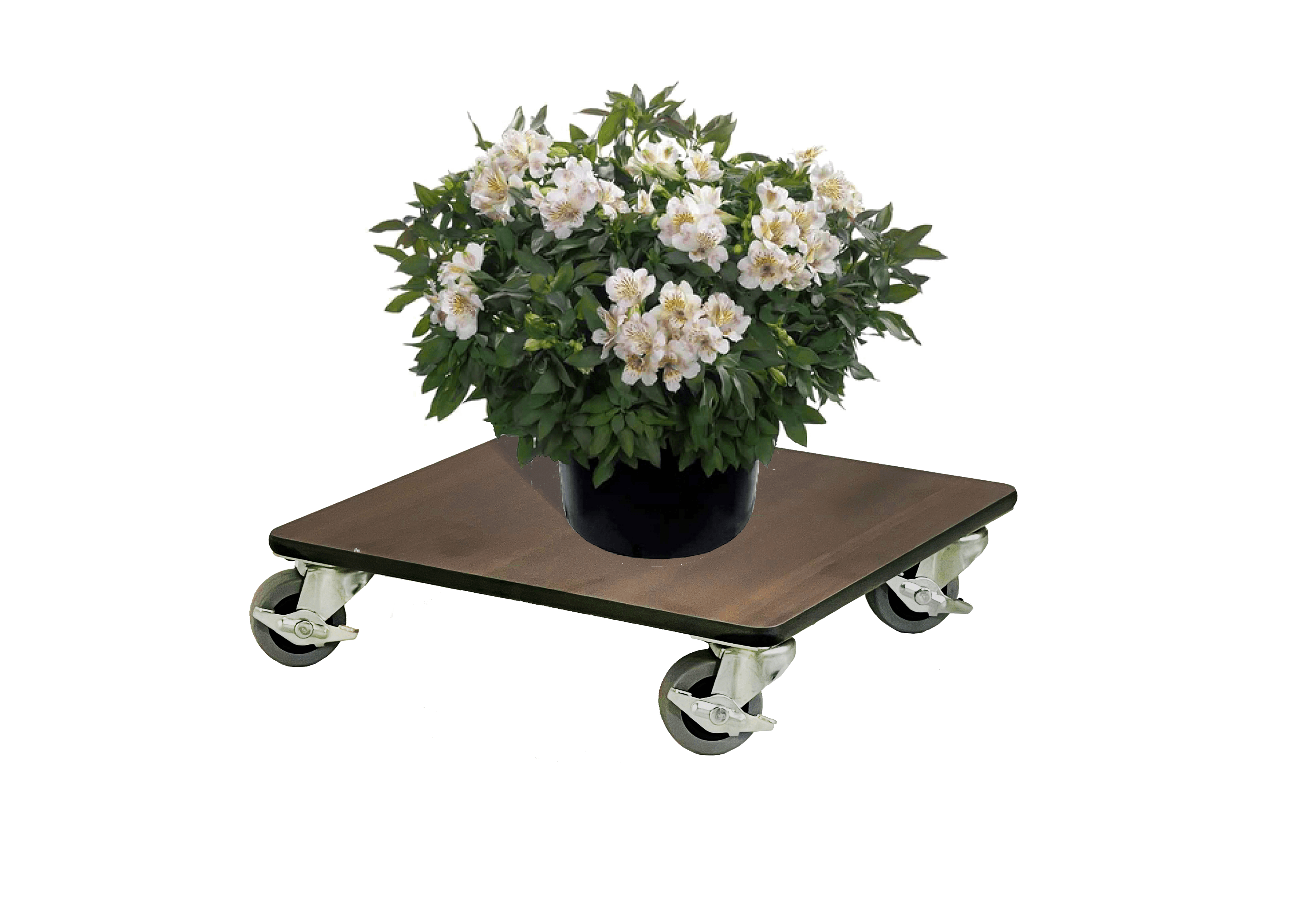 FOREMAN® Wood Grain Plant Caddy With Wheels - FOREMAN® Products