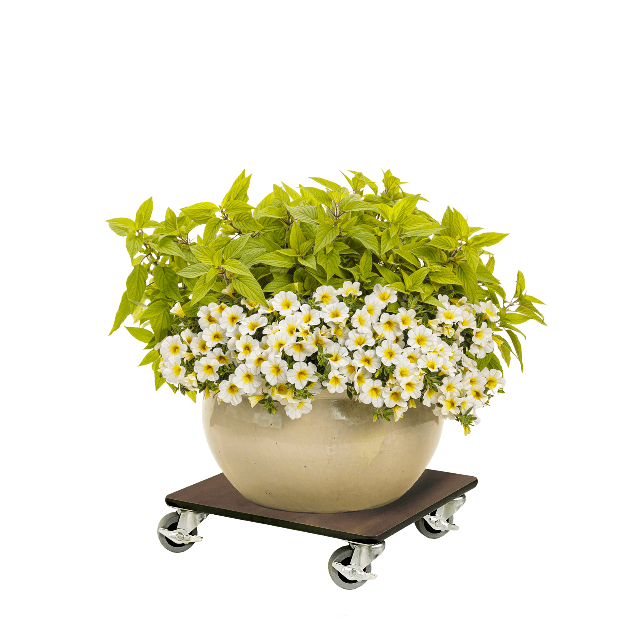 FOREMAN® Wood Grain Plant Caddy With Wheels - FOREMAN® Products