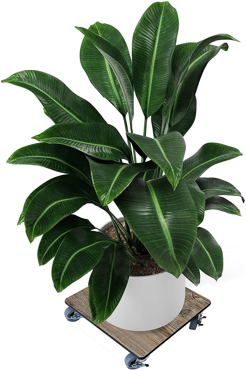 FOREMAN® Wood Grain Plant Caddy With Wheels - FOREMAN® Products