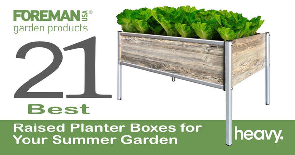 Become More Self-Sufficient with Raised Planter Boxes - FOREMAN® Products