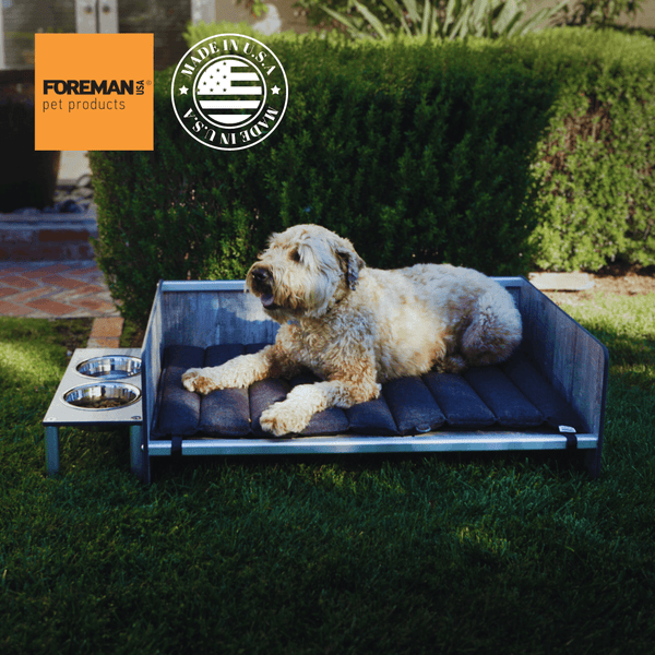Elevating Pet Care: Unveiling the Superiority of FOREMAN® Pet Products - FOREMAN® Products