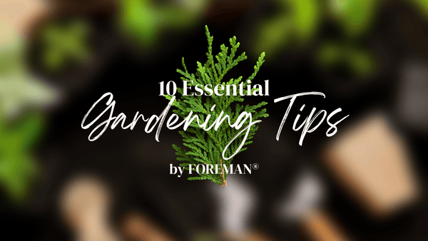 Green Thumb's Paradise: 10 Essential Gardening Tips for Thriving Plants - FOREMAN® Products