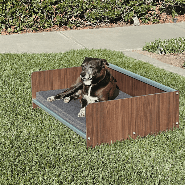 The Superiority of FOREMAN® Dog Beds: A 10-Year Investment in Your Furry Friend's Comfort - FOREMAN® Products