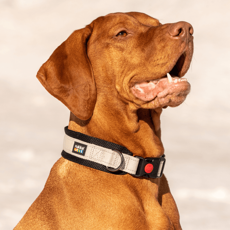 RUKKA® Bliss X Soft Collar - FOREMAN® Products