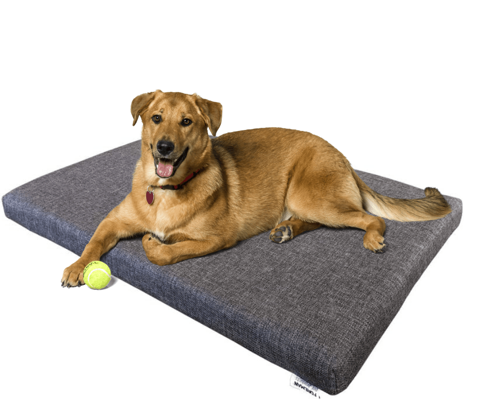 FOREMAN® Outdoor Dog Mattress w/ Washable Cover - FOREMAN® Products