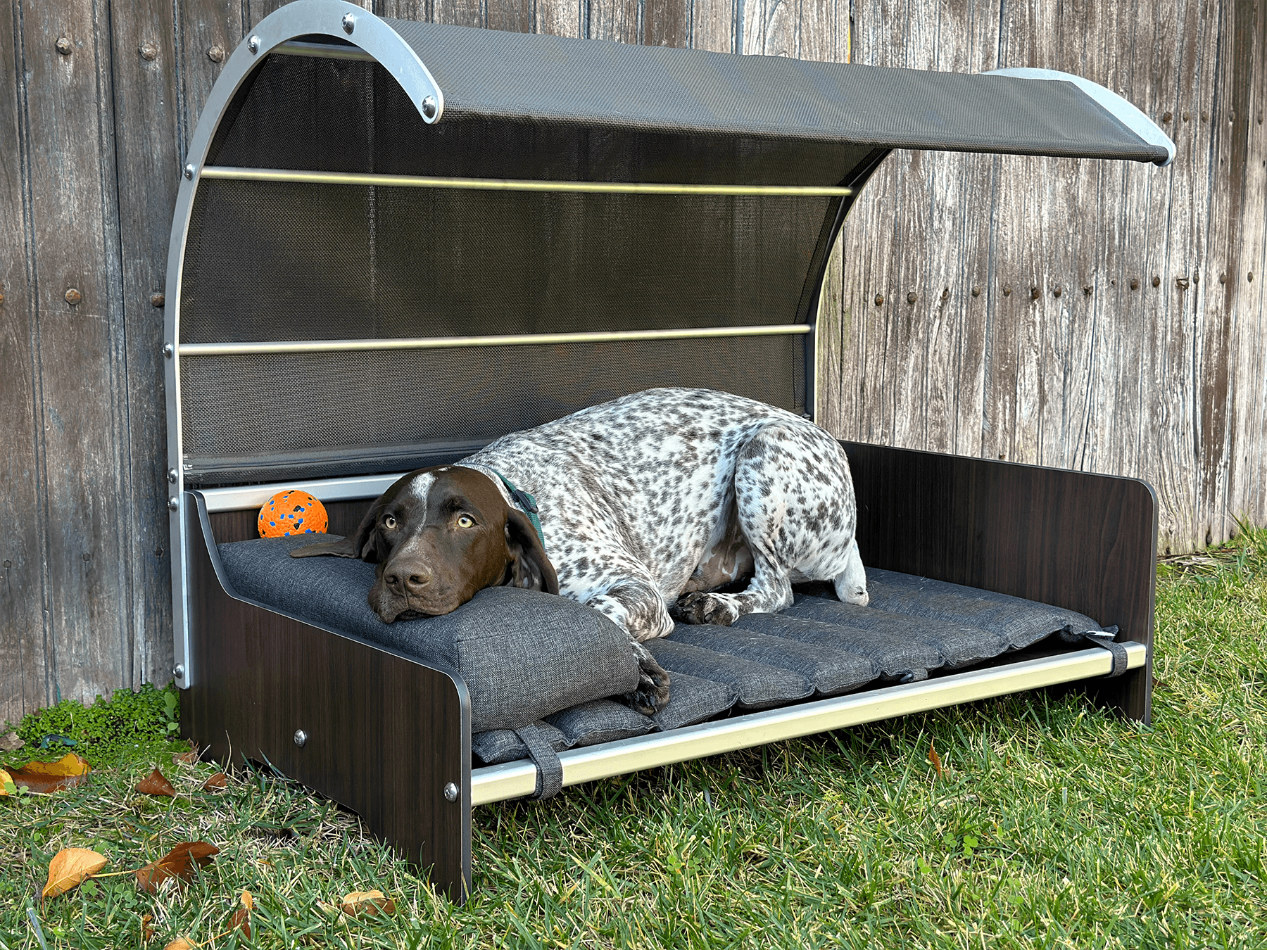 FOREMAN Pet Bed with Canopy Mat Pillow