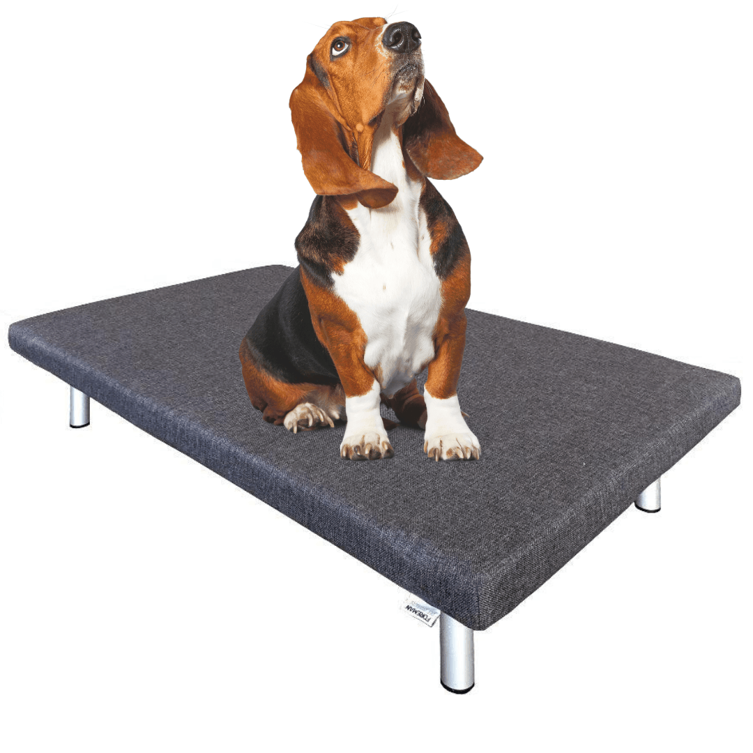 FOREMAN® Platform Dog Bed w/ Washable Mattress Cover - FOREMAN® Products