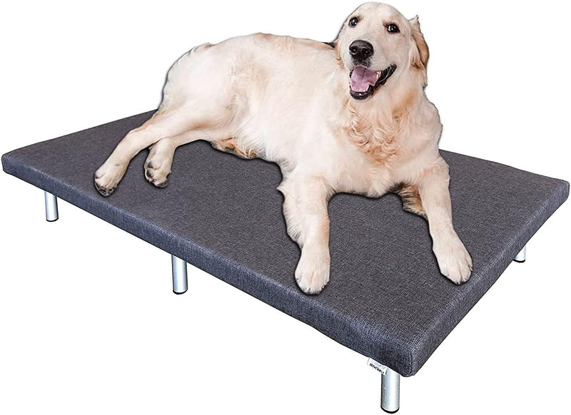 FOREMAN® Platform Dog Bed (UV Resistant Mattress with Removable & Washable Cover Included)