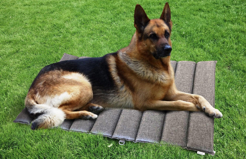Colchón de perro plegable al aire libre (clima y resistente al agua)