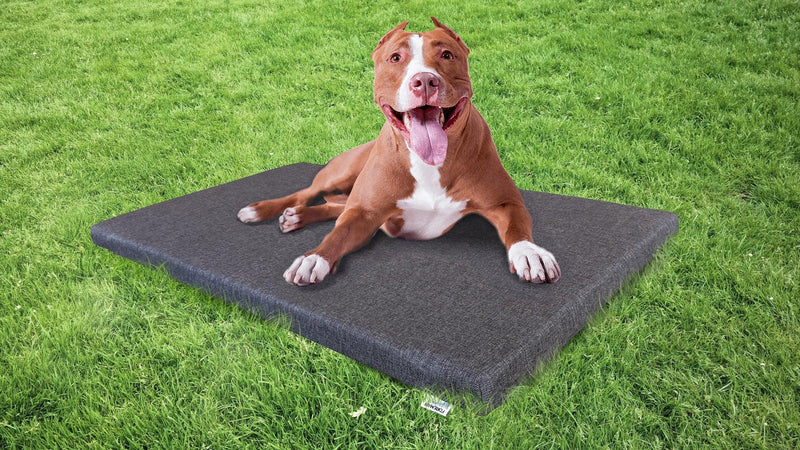 FOREMAN® Outdoor Dog Mattress with Removable/Washable Cover - FOREMAN® Products