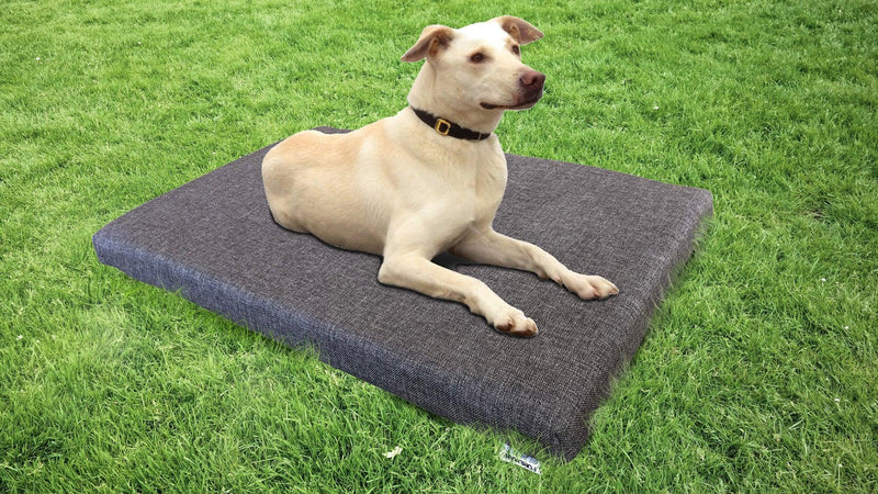 FOREMAN® Outdoor Dog Mattress with Removable/Washable Cover