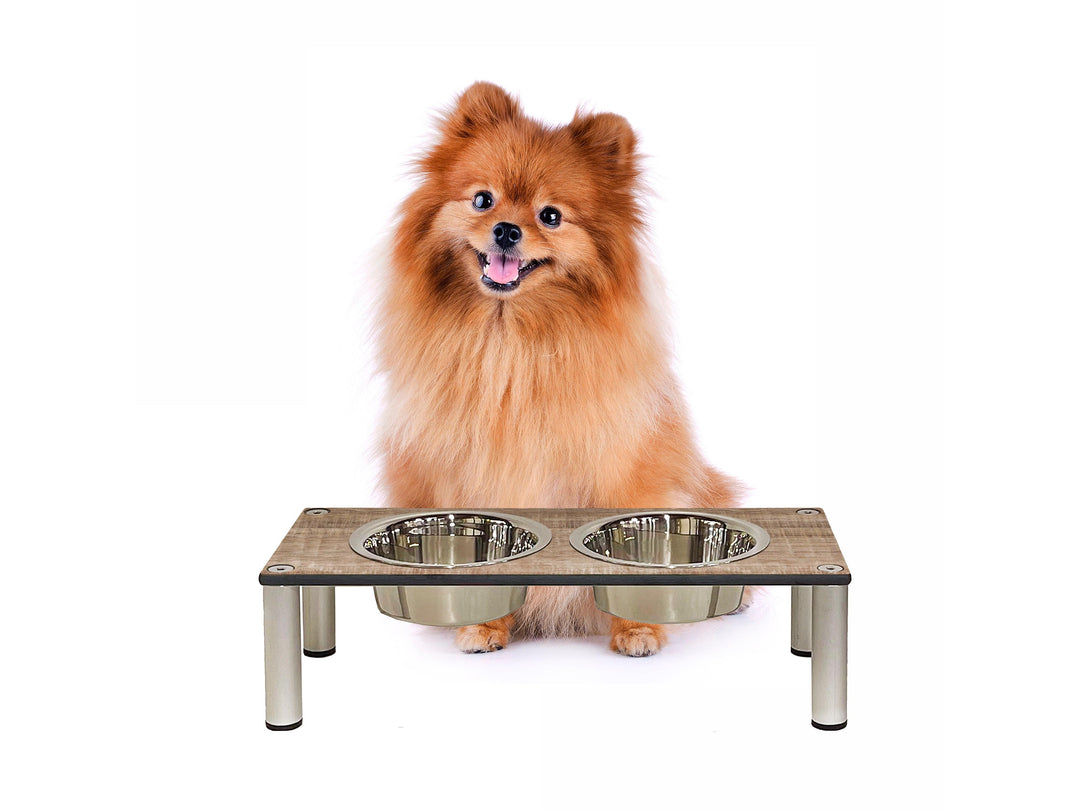 Elevated Outdoor Dog Bowl Set