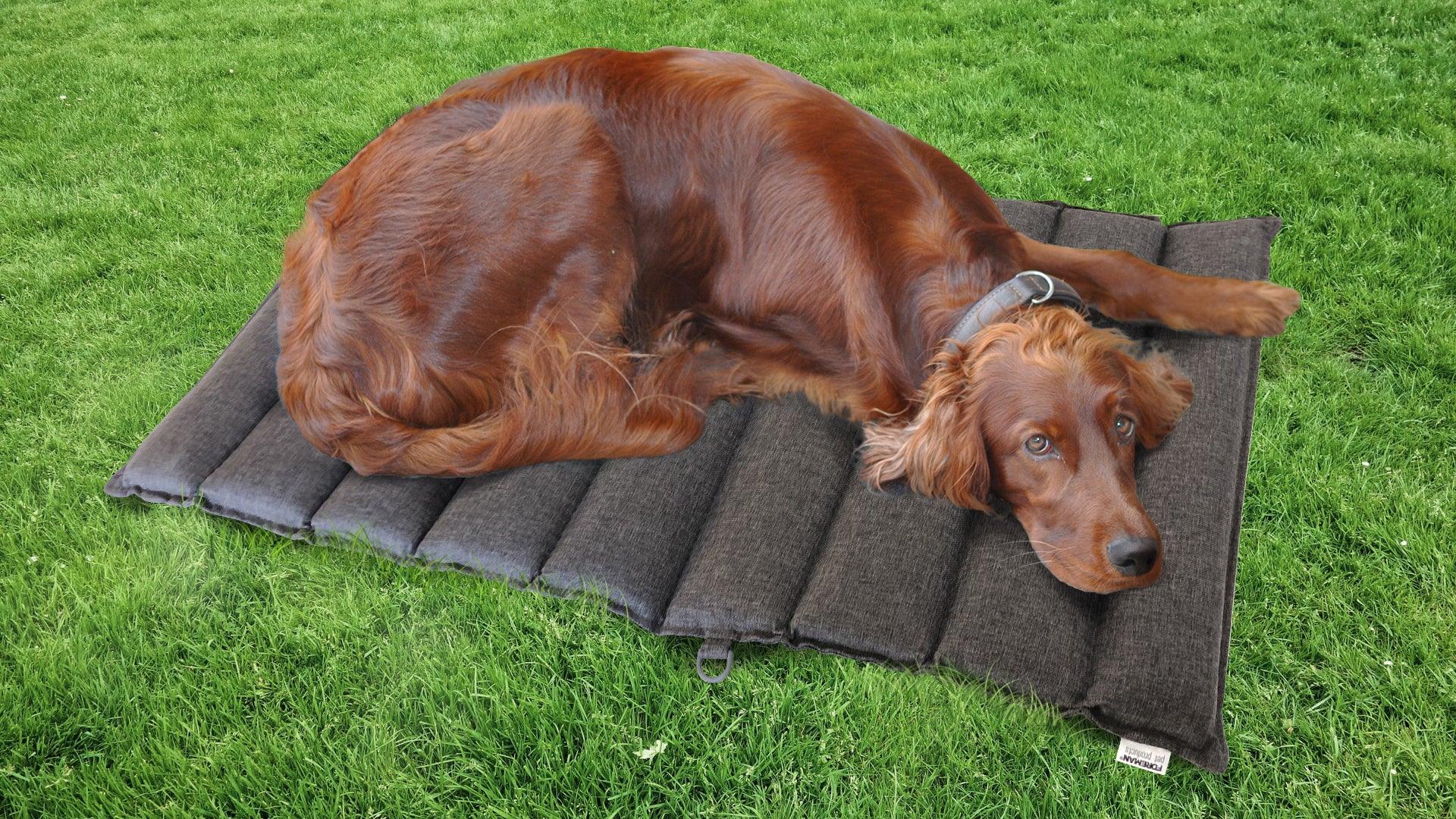 FOREMAN® Pet Travel Mattress - FOREMAN® Products