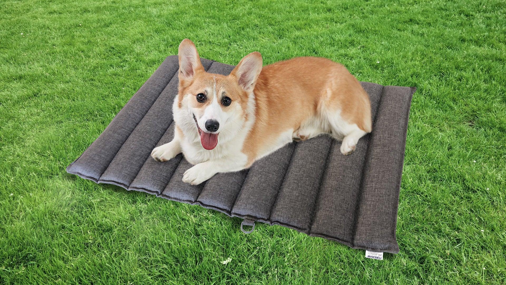 FOREMAN® Pet Travel Mattress - FOREMAN® Products